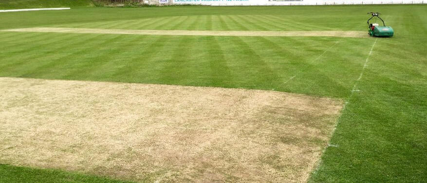 Wicket and square preparation