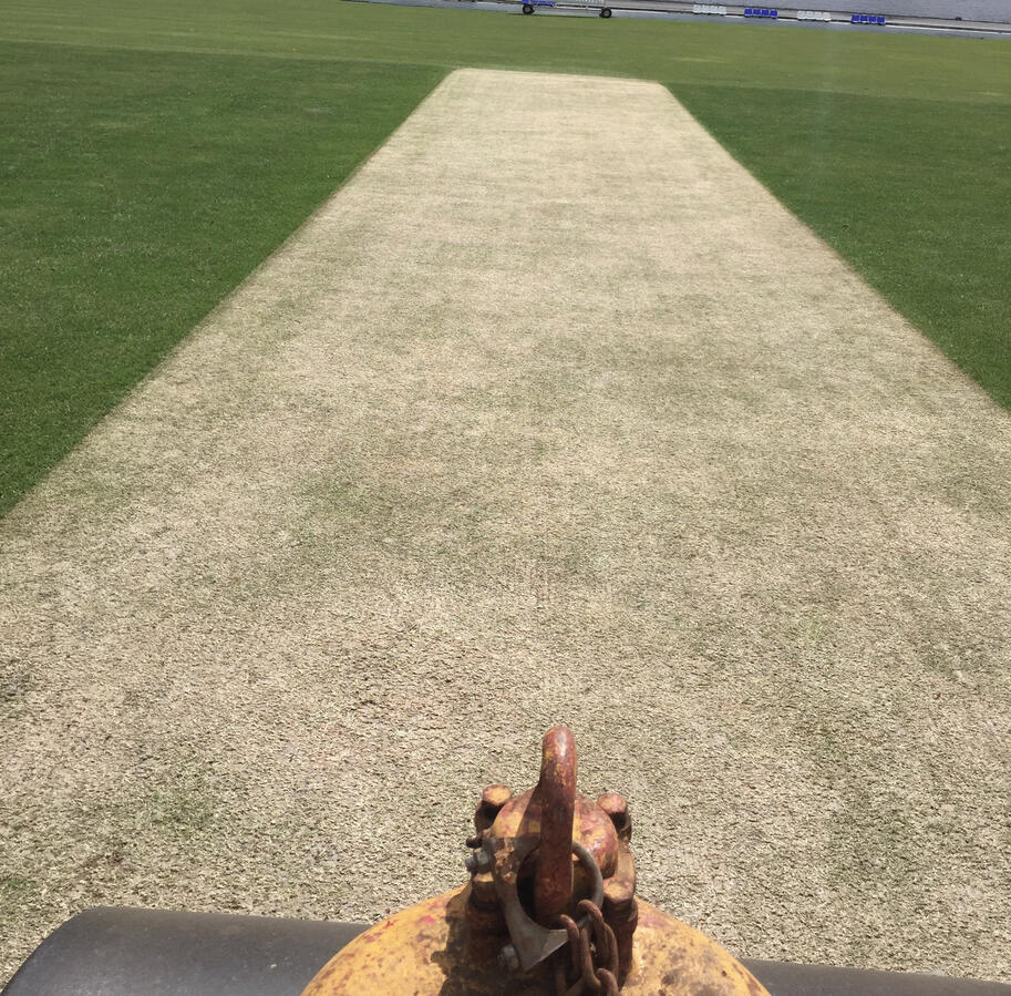 March wicket preparation