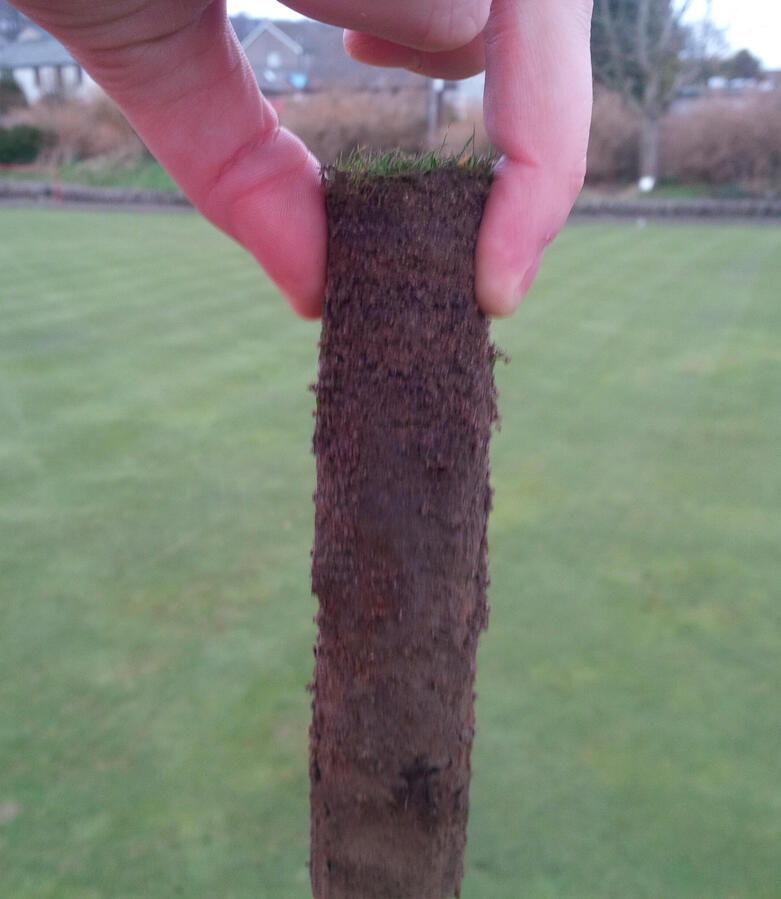 Healthy, clean, rooting system and soil profile. Minimal thatch, excellent fescue formation, using the organic programme.