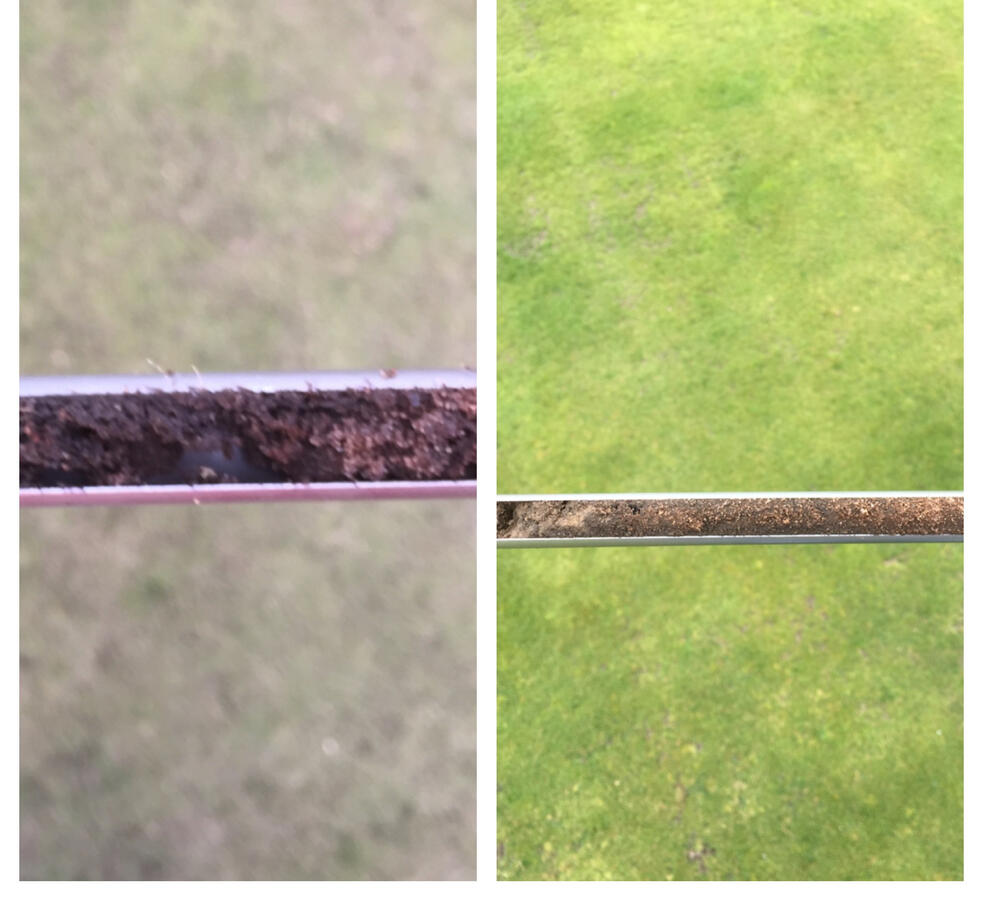 Left image is soil profile before biological programme. Right image after implementing biological approach. Soil is cleaner and turf colour and coverage improved.